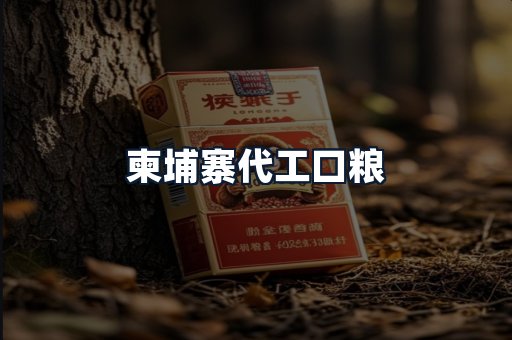 柬埔寨代工口粮